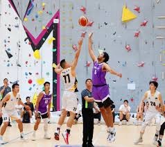 埃弗顿球员手球未被判点球，桑德兰球迷愤怒